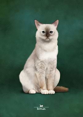 Birman