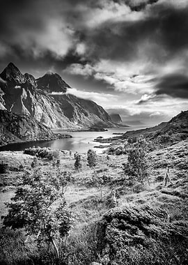 Lofoten 1