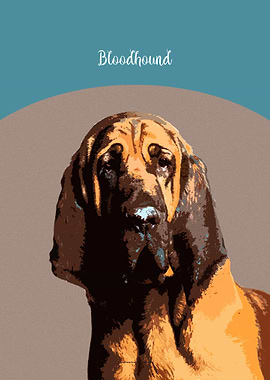 Bloodhound