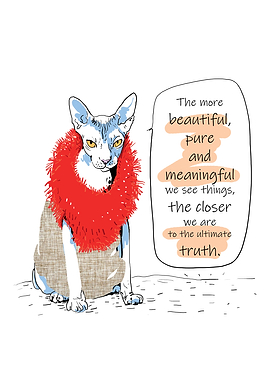 Fashionable Cat North We