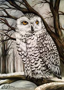 Snowy Owl In The Woods