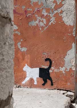 Cat Graffiti