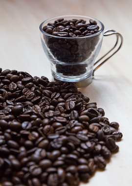 Coffe beans
