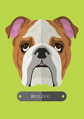 bulldog