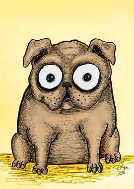Chubby pug