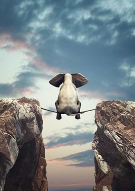 Elephant in the nature