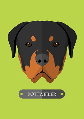dog rottweiler