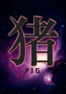 Pig