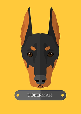 doberman