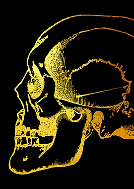 Skull