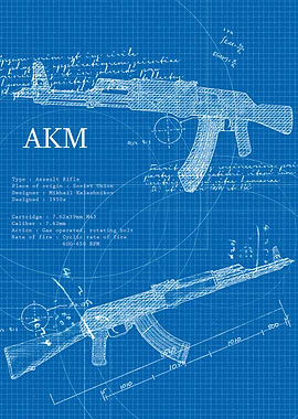Akm Weapon