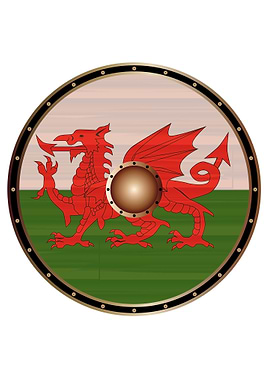 Welsh Dragon Flag Shield