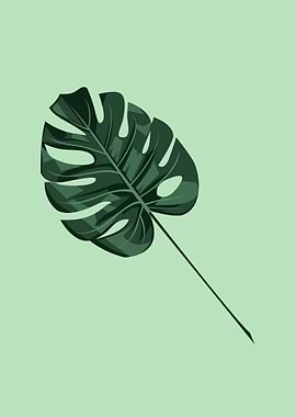 Monstera Deliciosa Leaf