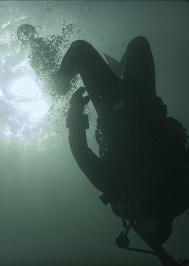 Backlit Diver