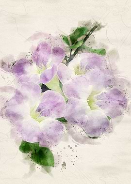 Flowers Watercolor Pink
