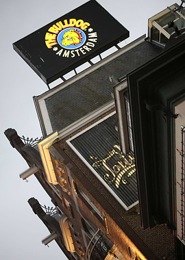 The Bulldog Coffeshop