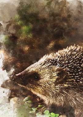 Watercolor Hedgehog
