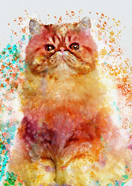 persian cat watercolor