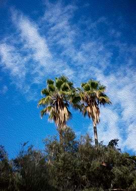 Mediterranean Lights