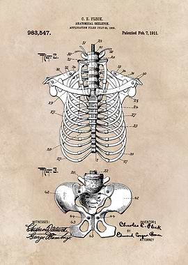 patent Fleck Anatomical Sk
