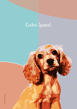Cocker Spaniel
