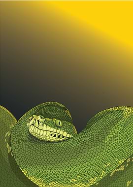 Green sanca Snake