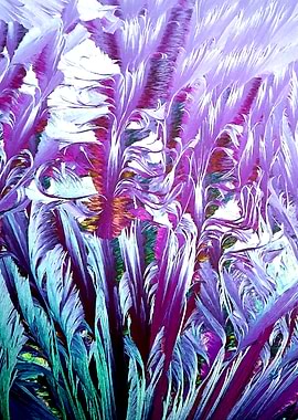Frost Flowers