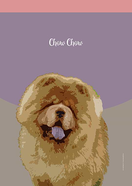Chow Chow