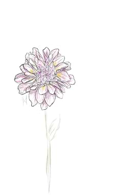 Flower sketch pink 2