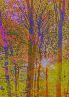 The jungle of colours