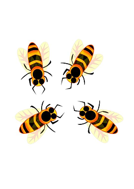 Bees