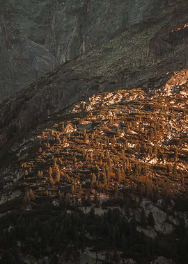 Forest covered mountain