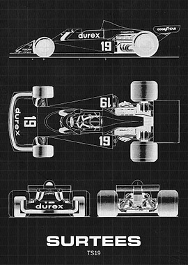 Surtees TS19