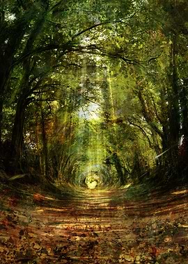 Tree Tunnel vertical