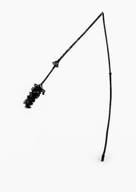 Nature Abstract Minimalism