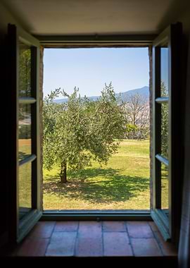 Countryside in Tuscany