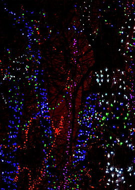 Abstract Lights Left