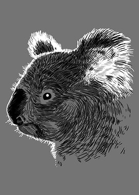 Skecth Koala