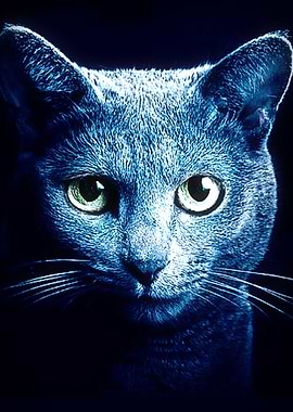 Blue Cat Neon Light