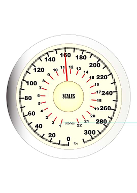 Bathroom Scales Dial