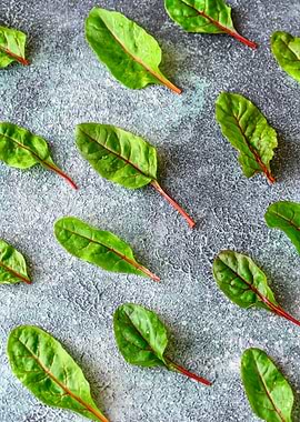 Red chard on gray board