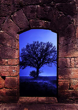 Door arch and tree