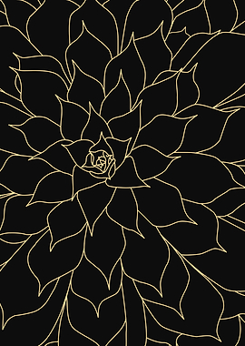 Succulent Illustration