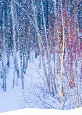 Forest Pastel Colors Left