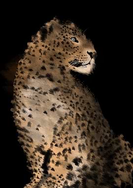 leopard