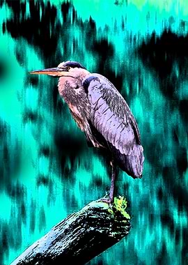 Bangau or Heron Bird Art