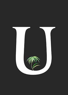 MINIMALIST POSTER ROOM