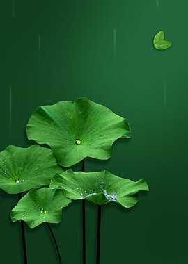 Leaves with Waterdrop