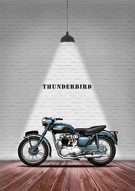 The 1955 Thunderbird