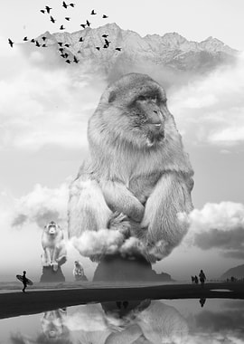 Monkey Sea Monkey Do